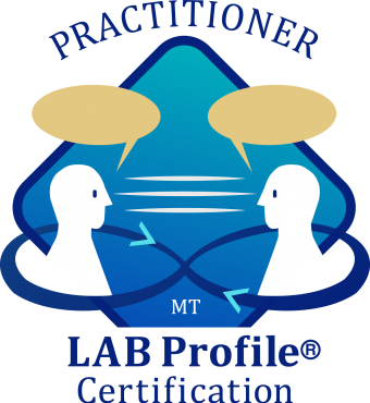 2_LAB-Profile-Practitioner-course_Mind-Transformations 2_LAB-Profile-Practitioner-course_Mind-Transformations