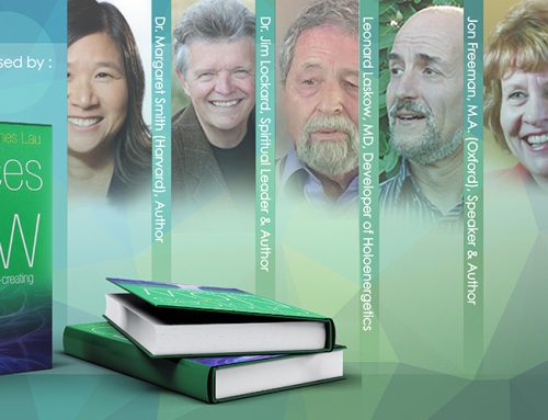 Mind Transformations – A Company that Strives to Support Life in All Its Expressions