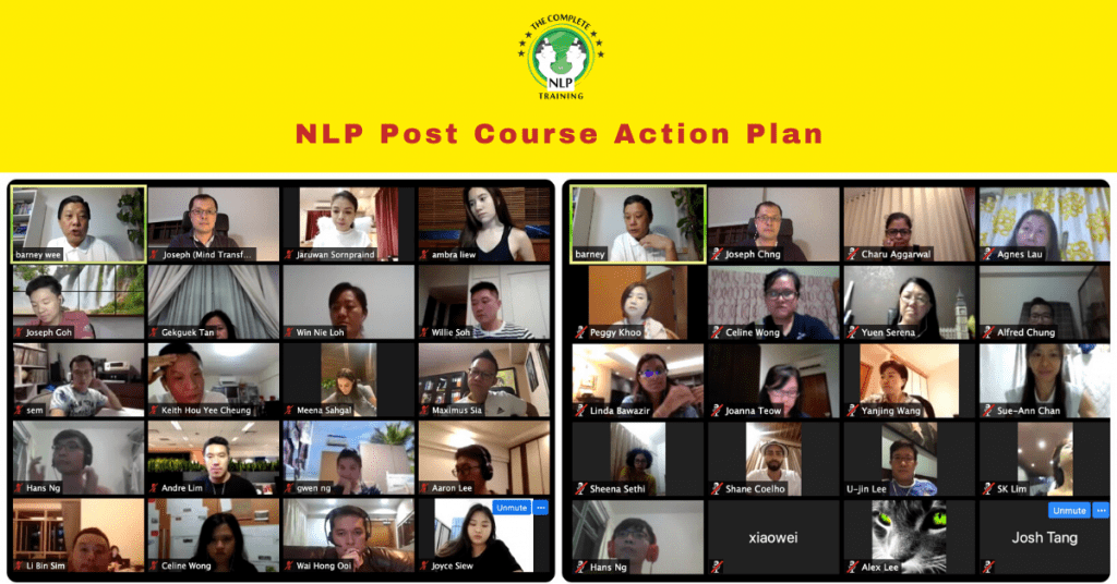 Multi-intelligence NLP Training & Coaching Post Course Action Plan