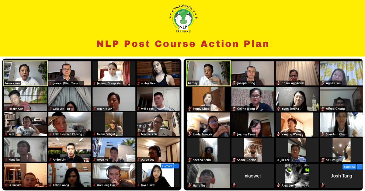 Multi-intelligence NLP Training & Coaching Post Course Action Plan