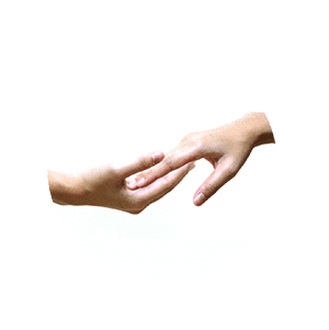 Enneagram-Coaching Enneagram Coaching Certification