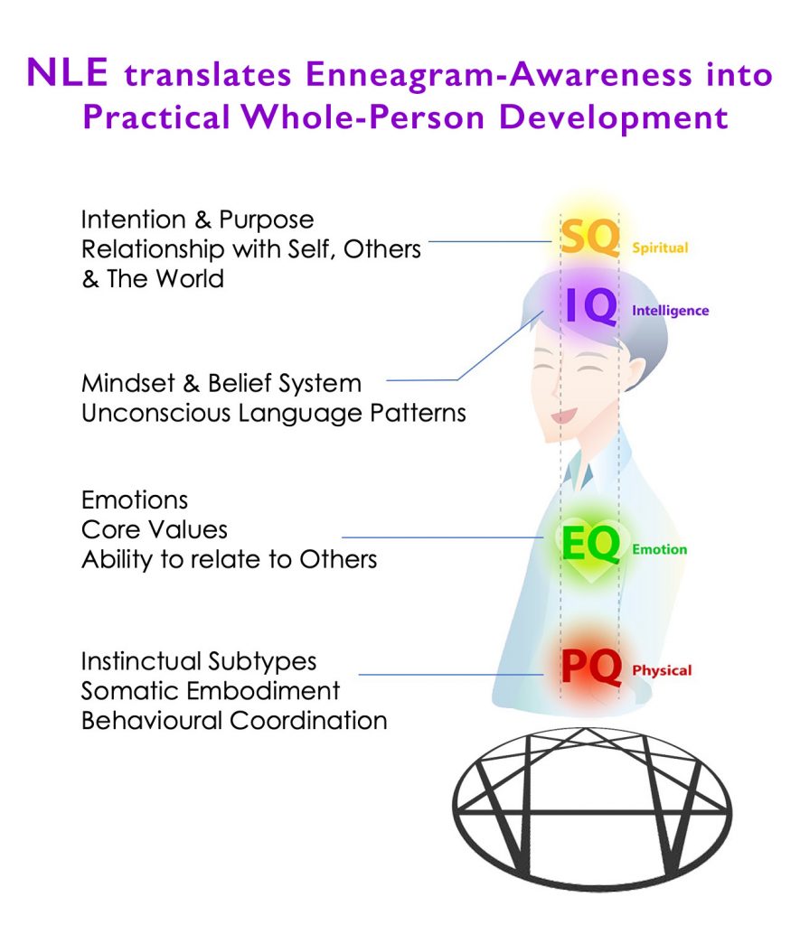 Neuro-Linguistic Enneagram_Alignment Multiple Intelligences Enneagram & Multiple Intelligences - Translating Awareness into Practical Whole-Person Development