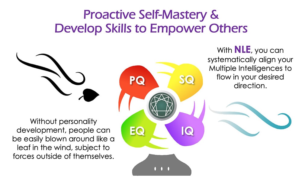 Neuro-Linguistic Enneagram - Proactive Self-Mastery