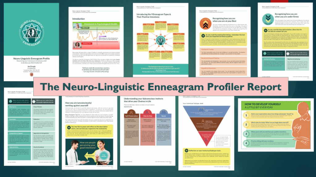 NLE Neuro-Linguistic Enneagram Profile 2020 for Professional Coaching