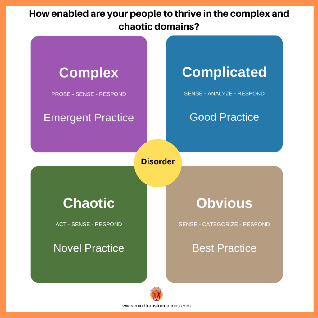 Cynefin framework MI NLP training and coaching methods