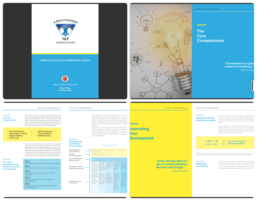 competency building framework for NLP training and coaching skills development