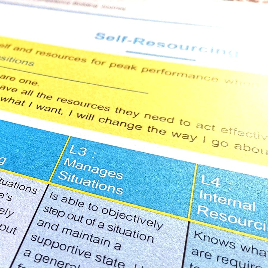 self-resourcing-competency self-resourcing-competency