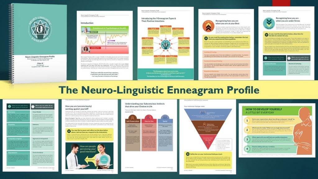 The Neuro-Linguistic Enneagram Profile for Professional Coaching_Mind Transformations The Neuro-Linguistic Enneagram Profile for Professional Coaching_Mind Transformations
