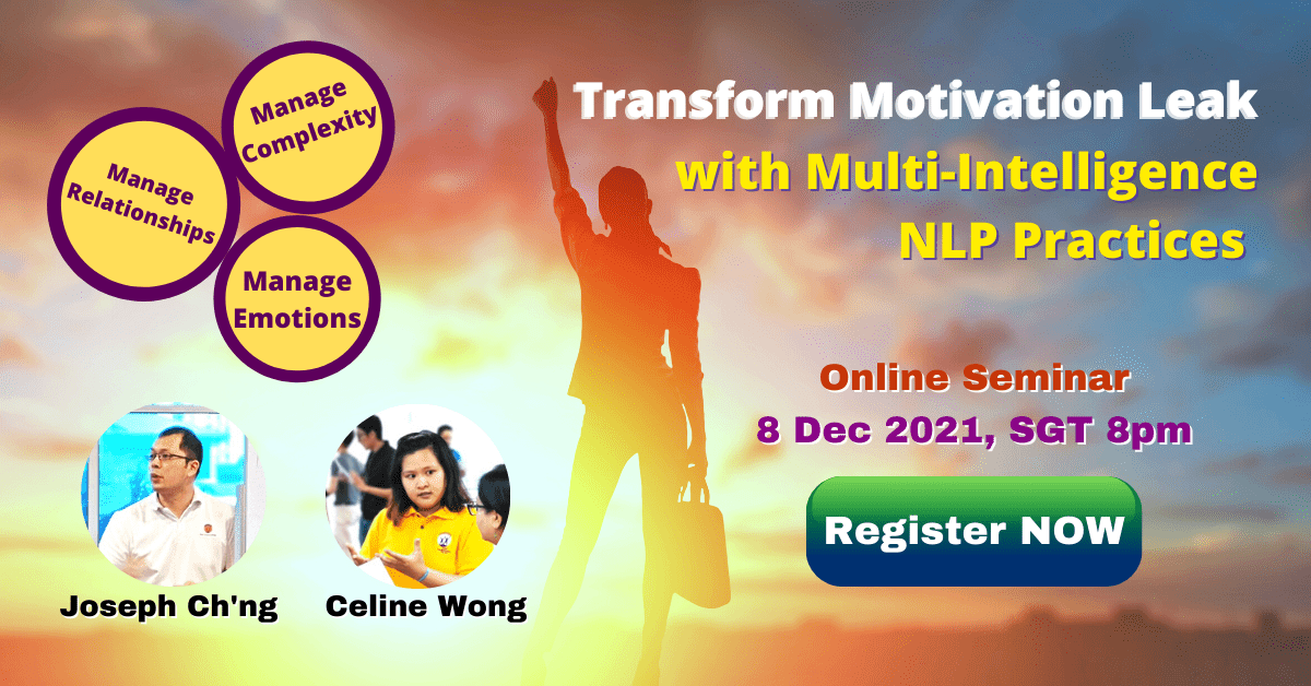 transform motivation leak multi intelligence NLP Practices Joseph and Celine trainers