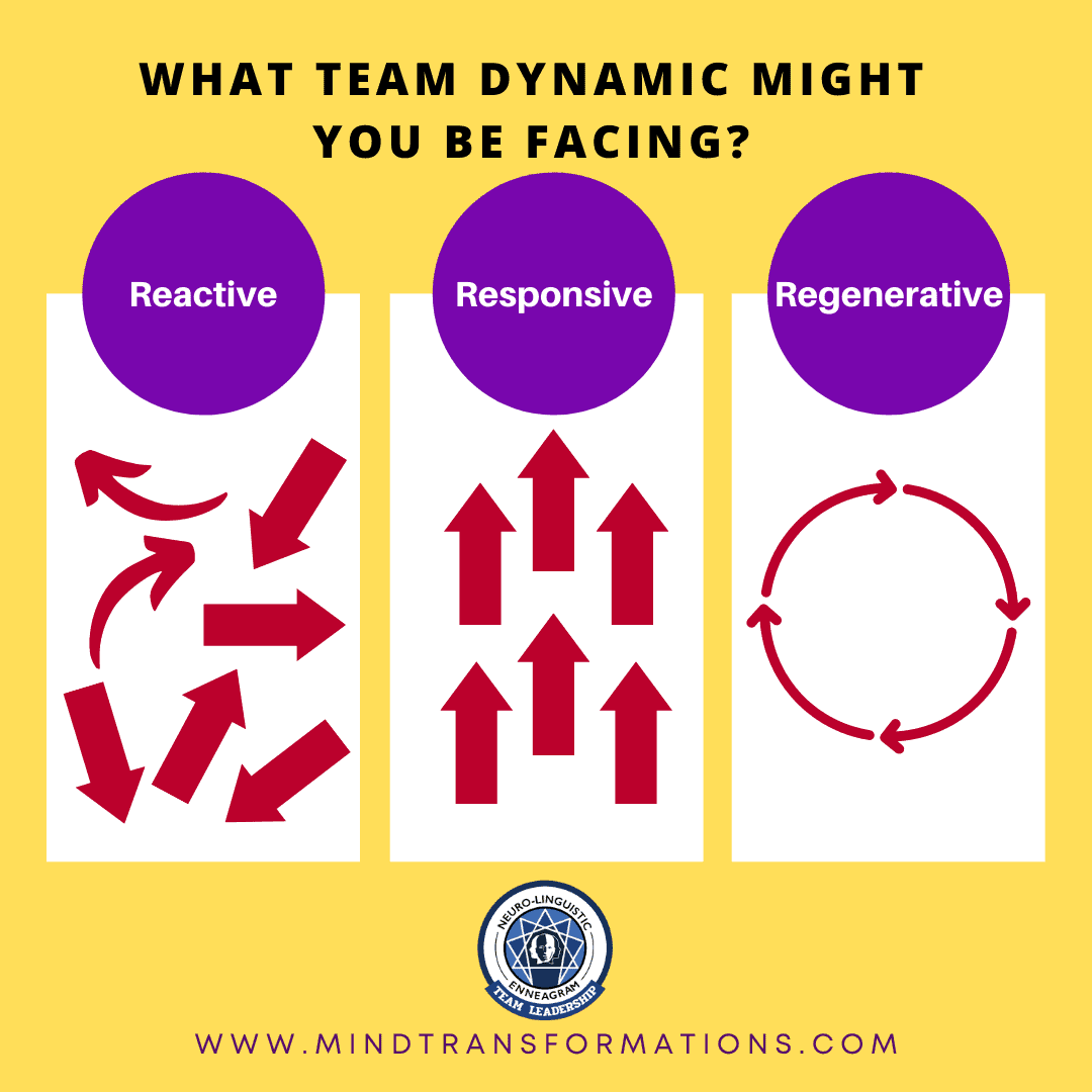 what team dynamic might you be facing in your organization