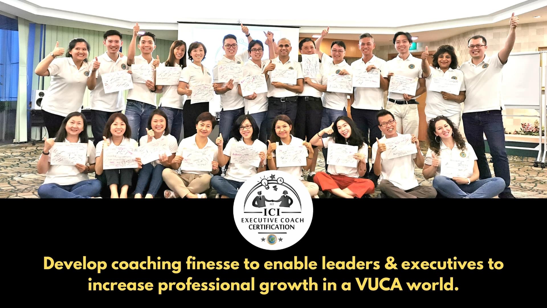high leverage executive coaching certification for coaches leaders managers executives in vuca world