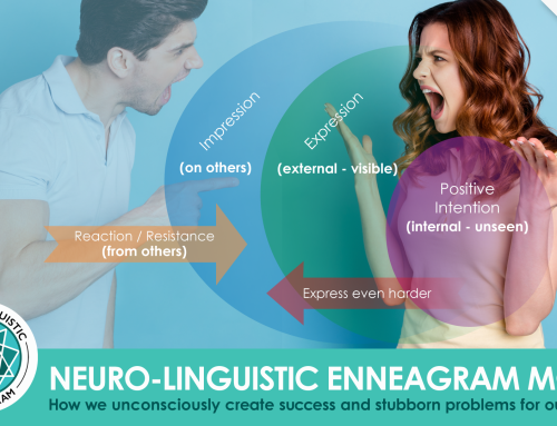 The Neuro-Linguistic Enneagram Model: Why Most Project Problems are People Problems