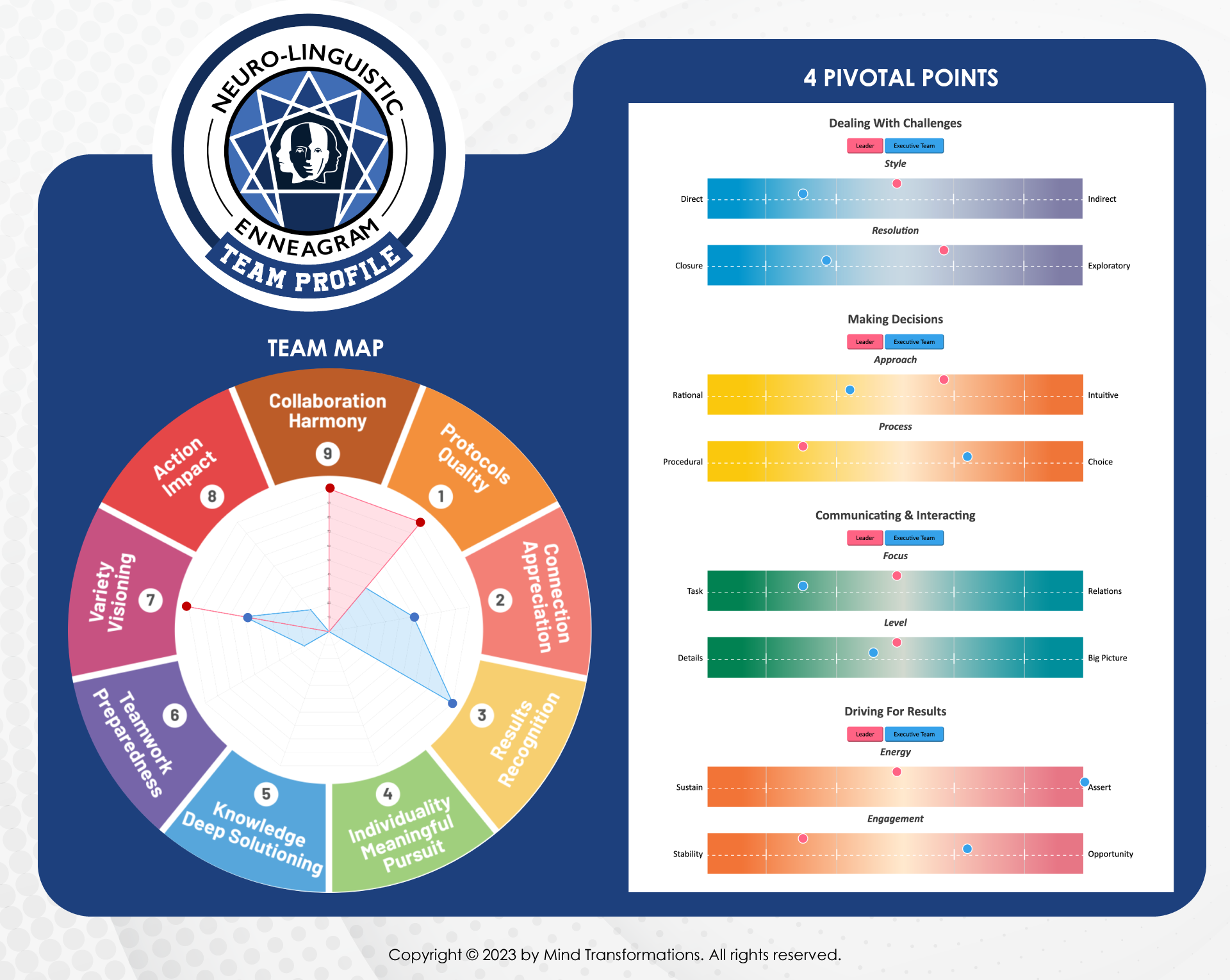 NLE Team Profile, Team Map and 4 Pivotal Points