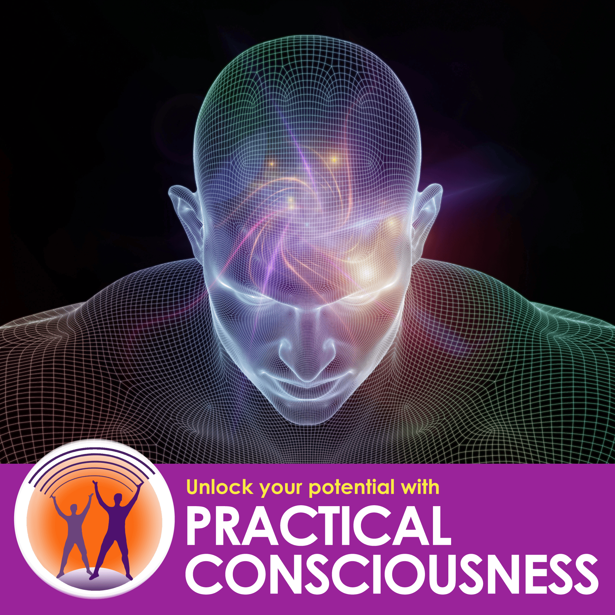 Practical Consciousness